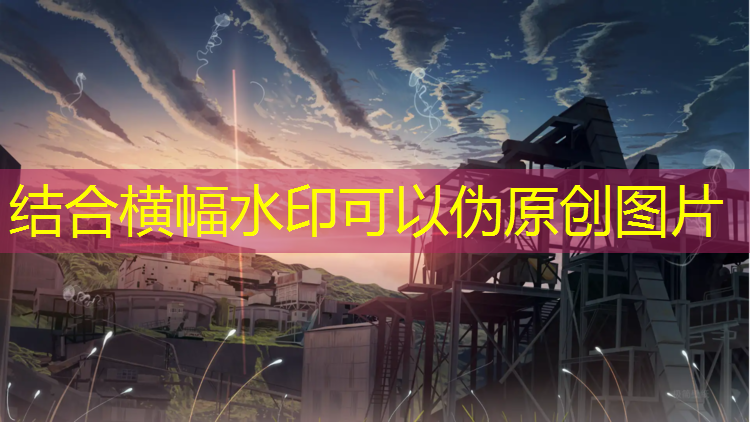 起跑器的材质选择：何种材质的起跑器最适用于室内运动场地？