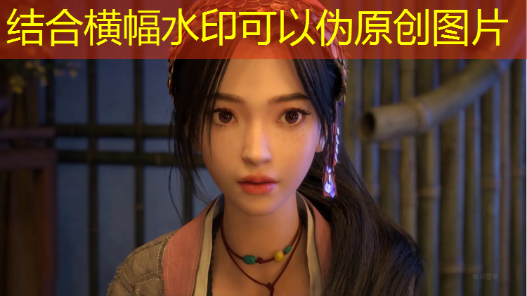 壁球 智慧对决 品味竞技的乐趣