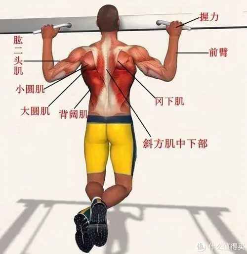 室内徒手健身腰腹