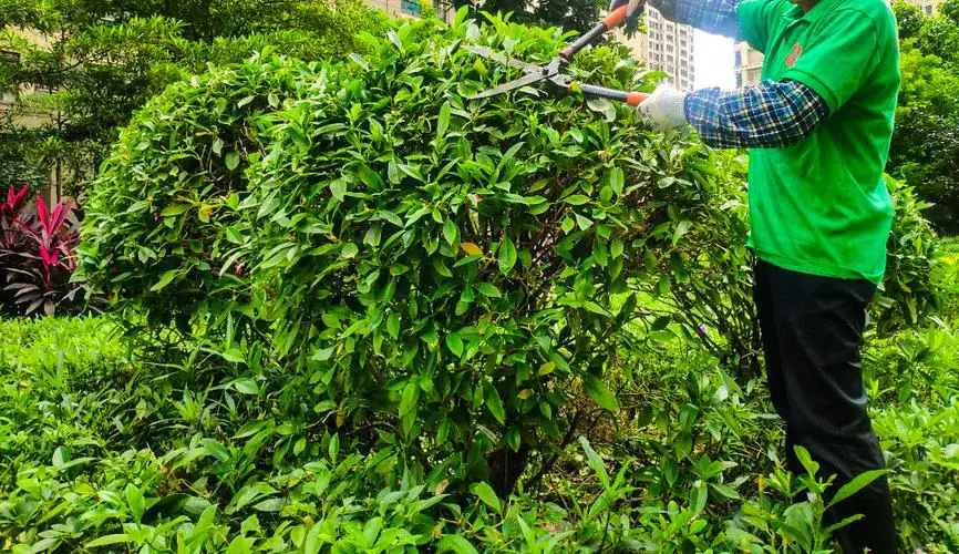 阐述网球拍的几个重要指标