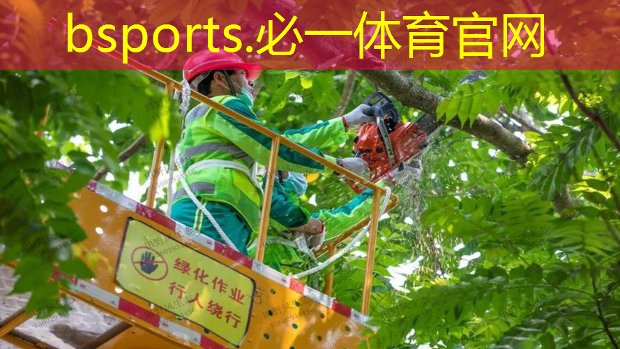 沃克网球拍对手肘友好