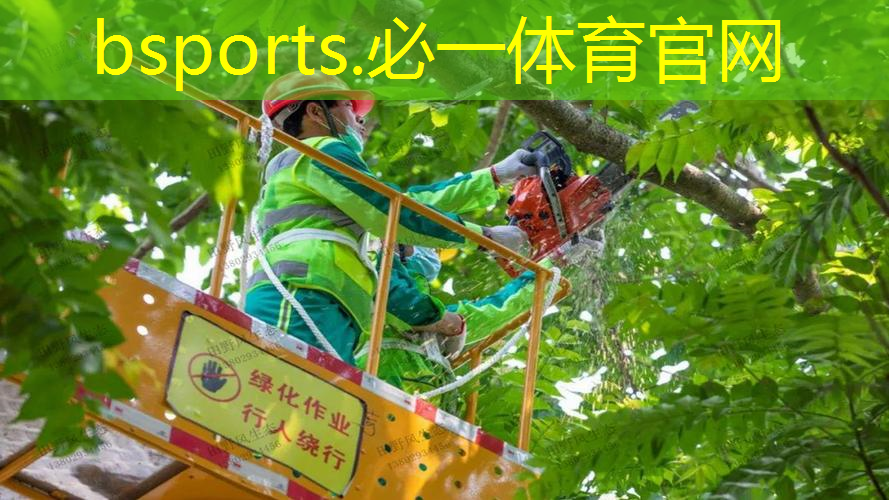网球拍训练课学什么好呢