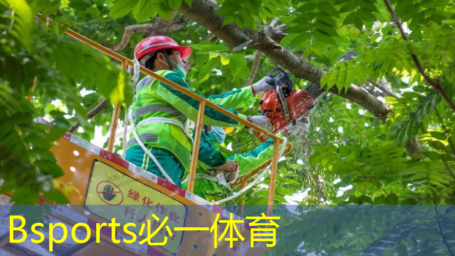网球拍10年的技术革新