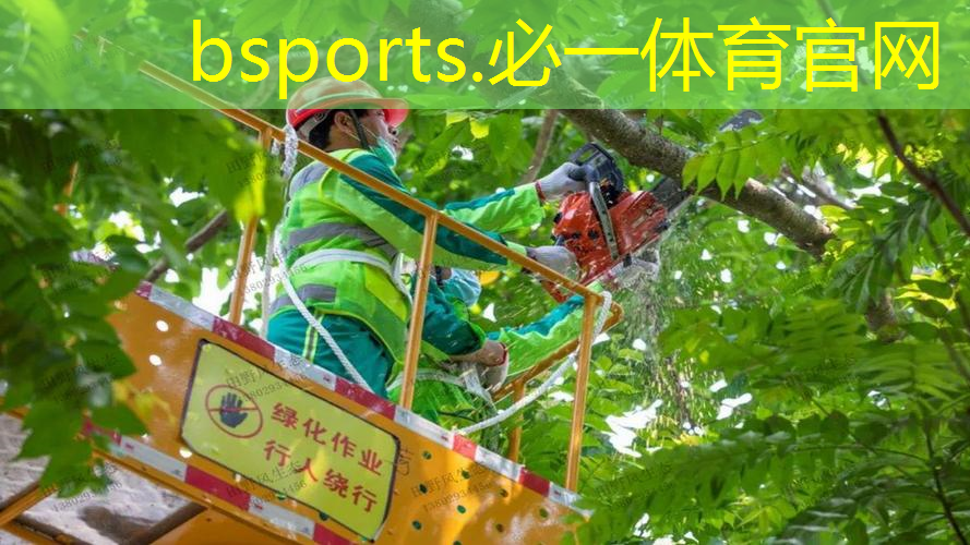 网球拍的外形尺寸图示片