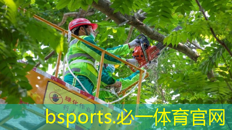 马里奥网球拍子收集