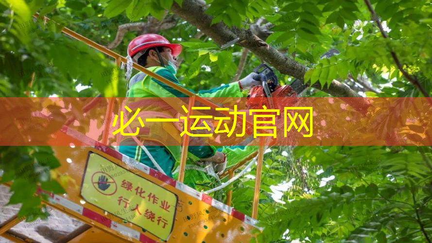 网球拍上的小纽扣怎么安装