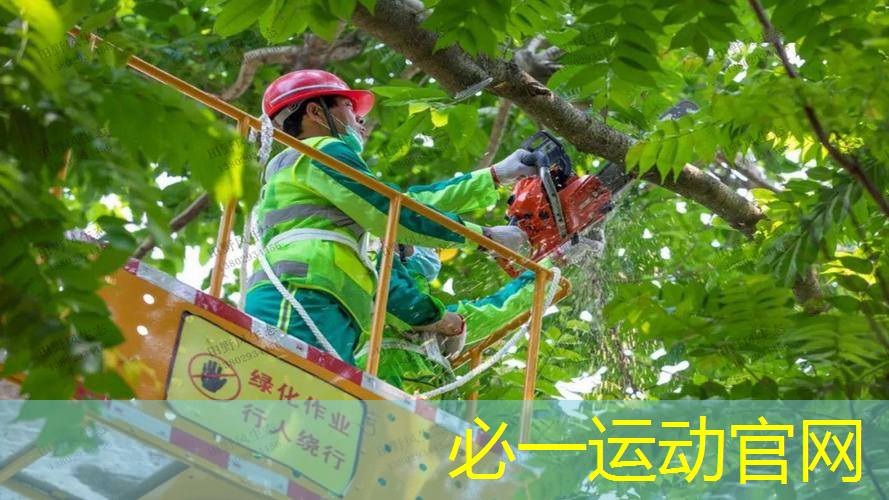 黑坑鱼护网球拍线