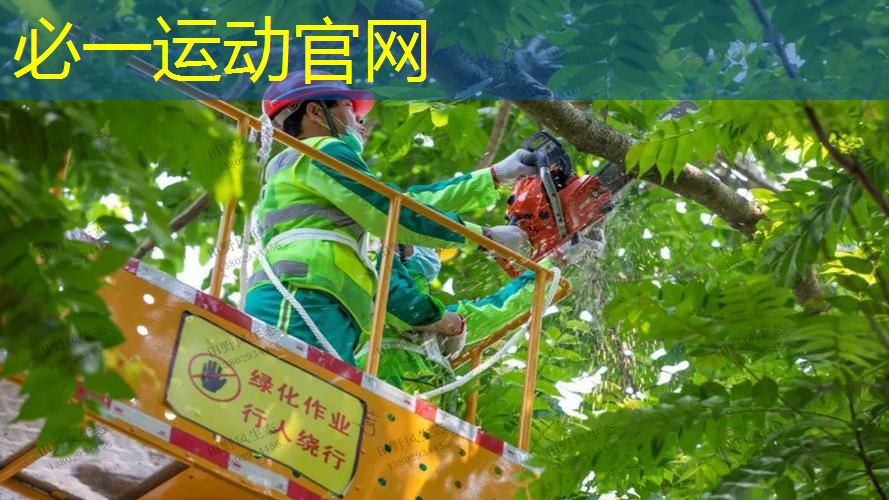 室内健身弗兰克
