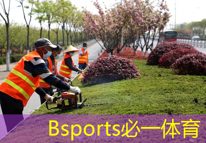 乒乓球台有哪些分类类型