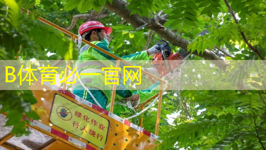 你知道篮球架收球网的标准高度是多少吗？