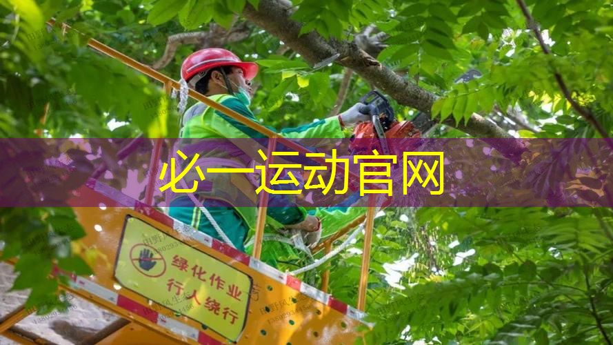 乒乓球台王鹤棣